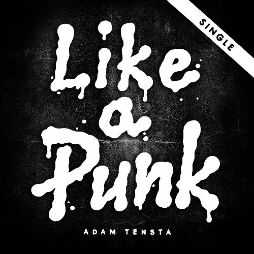 Like a Punk_poster_image