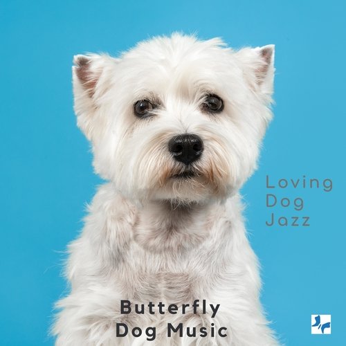 Loving Dog Jazz