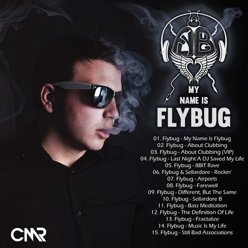 My Name Is Flybug_poster_image