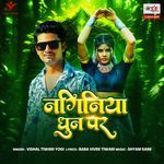 Naginiya Dhun Par
