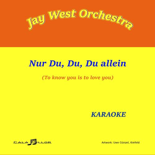 Nur du du du allein cover art