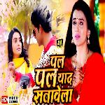 Pal Pal Yaad Satawela