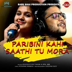 Paribini Kahi Saathi Tu Mora