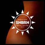 Sexual Healing (SNBRN Remix)