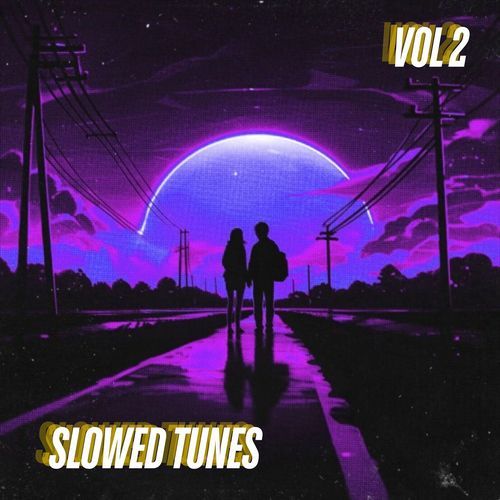 Slowed Tunes, Vol. 2_poster_image