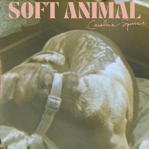 Soft Animal