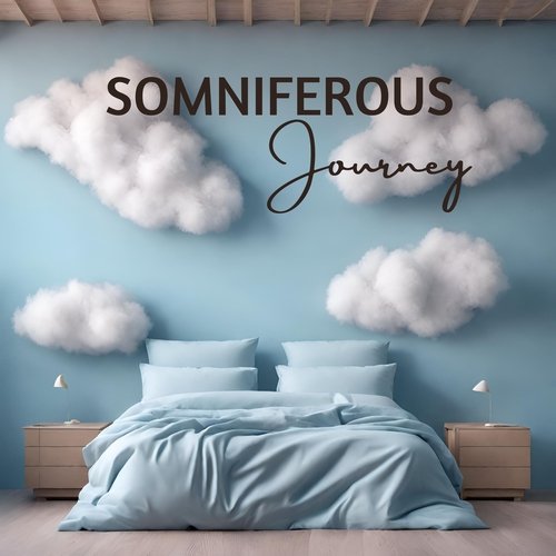 Somniferous Journey