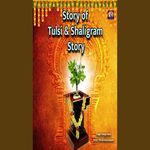 Story Of Tulsi & Shaligram Story