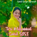 Teri Mohabbat Sahil 5353 artwork