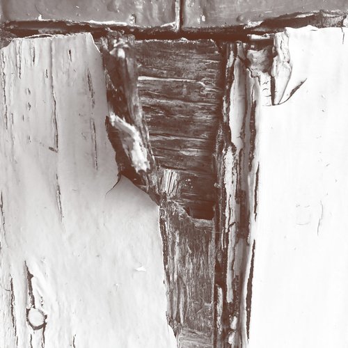 Watershed cover art