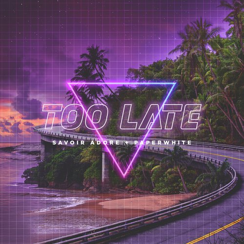 Too Late (feat. Paperwhite) - Single_poster_image