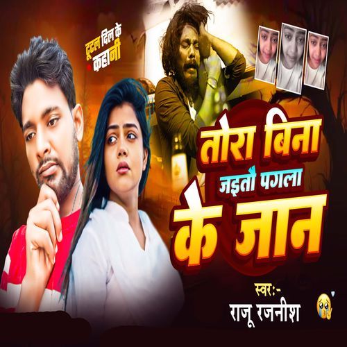 Tora Bina Jayto Pagla Ke Jan