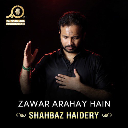 Shahbaz Haidery
