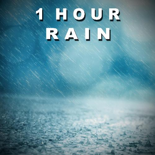 Rainfall cover art