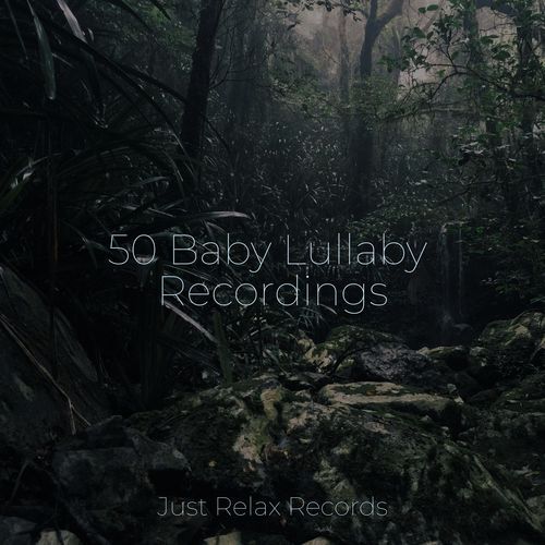 50 Baby Lullaby Recordings_poster_image