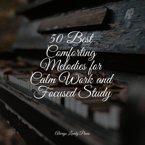 50 Best Comforting Melodies for Calm Work and Focused Study