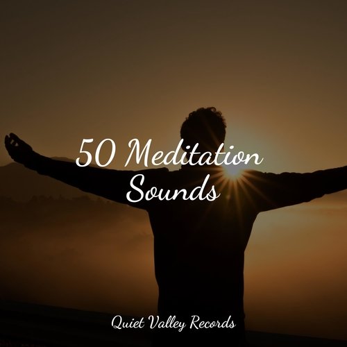 50 Meditation Sounds_poster_image