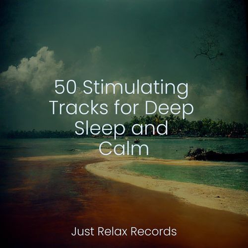 50 Stimulating Tracks for Deep Sleep and Calm