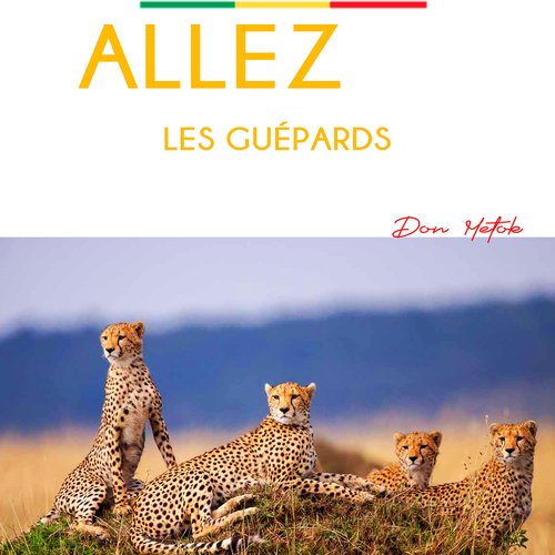 ALLEZ LES GUEPARDS cover art