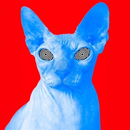 El hombre que pensaste cover art