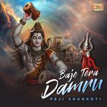 Baje Tera Damru