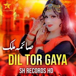 Dil Tor Gaya-KD4MXURjZ3o