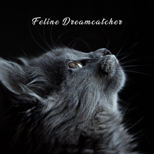 Kitty's Zen Garden cover art