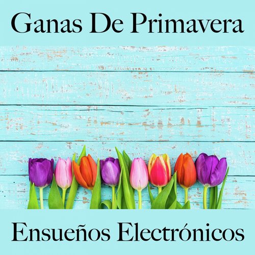 Ganas De Primavera: Ensueños Electrónicos - La Mejor Música Para Descansarse_poster_image