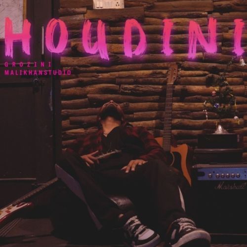 HOUDINI