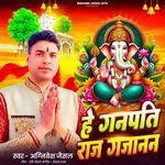 Hey Ganpati Raj Gajanan