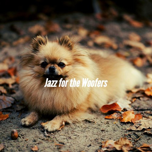 Subtle Keeping Dogs Entertained cover art