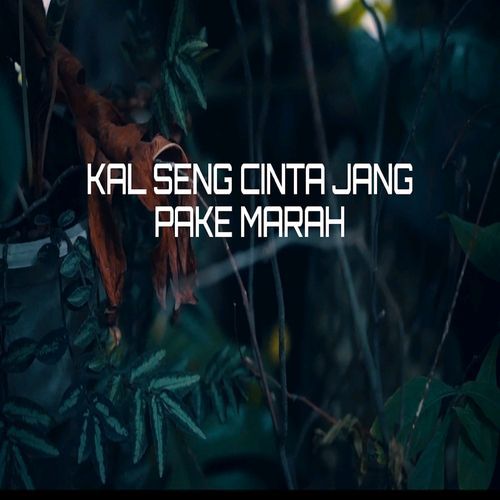 Kal Seng Cinta Jang Pake Marah cover art