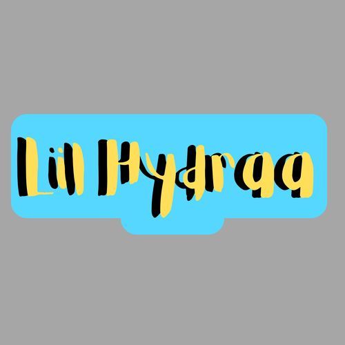 Lil Hydraa cover art