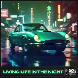 Living Life In The Night (Techno)-IzoNQgB9QgE