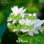 Malle Pulu Pettukoni