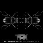 Metamorphosiz: The End (Remixes, Vol. 1 )
