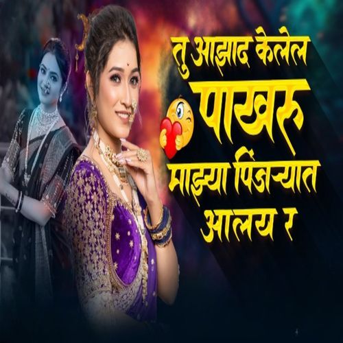 Pakharu Mazya Pinjrayt Aalye r (Live)