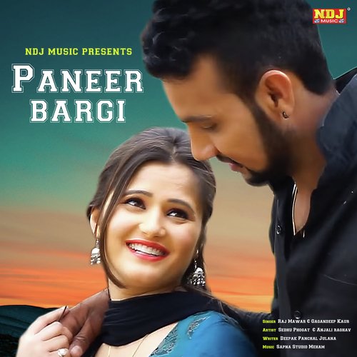 Paneer Bargi