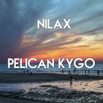 Pelican  Kygo
