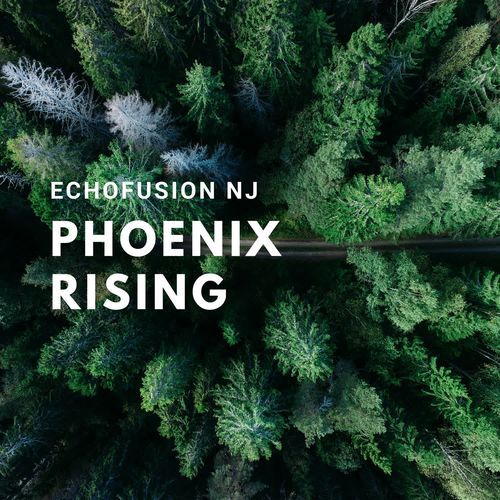 Phoenix Rising