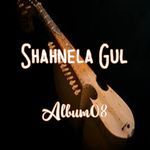 Shahnela Gul, Vol. 8