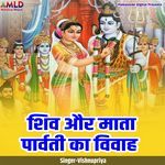 Shiv Or Mata Parvati Ka Vivah (Live)