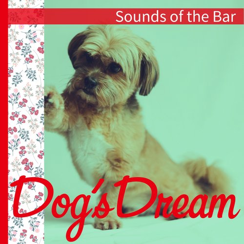 Smart Dream cover art