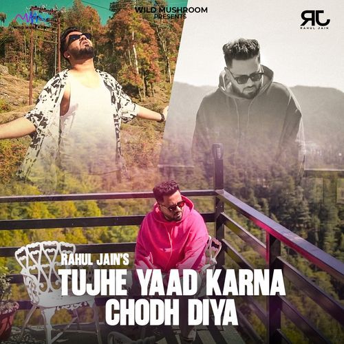 TUJHE YAAD KARNA CHOD DIYA