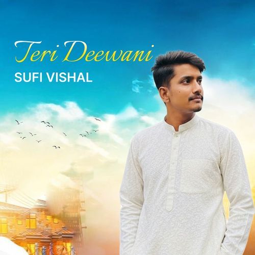 Teri Deewani