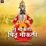 Tu Mauli Vithu Mauli