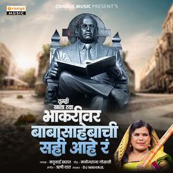 Tumhi Khata Tya Bhakari Ver Baba Sahebachi Sahi Hay R (Remix)