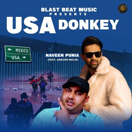 Usa Donkey