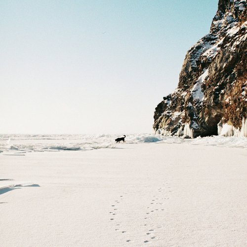 Walk in the Crisp Snow with My Four-Legged Friend cover art