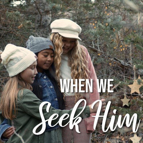 When We Seek Him_poster_image